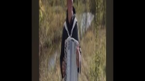 Федерико Феллини на баяне #Shorts