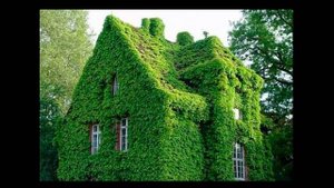 Курсы. Ландшафтный дизайн. Урок 30. Стилистика. Пейзажный стиль. Часть1.