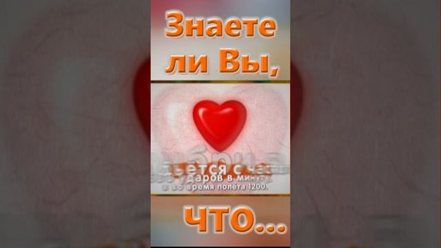 Знаете ли вы, Что? Сердце