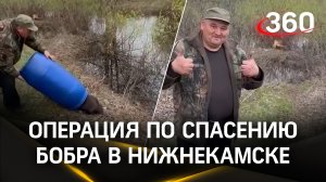 Операция по спасению бобра: в Нижнекамске зверь забежал на территорию одного из заводов