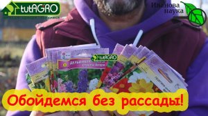 КРАСОТА БЕЗ РАССАДЫ! Цветение с весны до осени. Эти цветы затмят всех без забот! Сеем семена осенью.