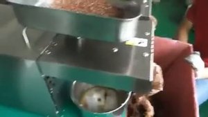 Пресс холодного отжима для дома масло соевое кукурузное посолнечное арахисовое