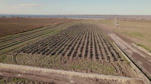 Экскурсия "Станица Голубицкая. Темрюкский район"