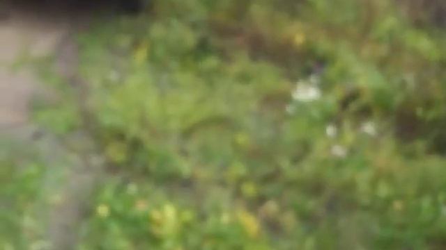 Спуск с горочки Слет Логана клуба смотреть онлайн