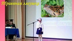 Красная книга