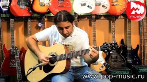 Акустическая гитара GREG BENNETT D2