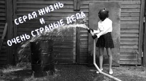 Фильм "Серая жизнь и очень странные дела"