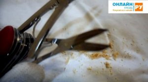 ОНЛАЙН ТРЕЙД.РУ Нож Victorinox 0.9064 WORK CHAMP, 111 мм., красный