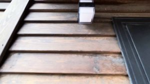 Владивосток аренда домиков у моря бухта Щитовая Приморский край