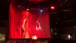 AERIAL ANGELS от цирка Kresiva - дуэт на воздушном кольце