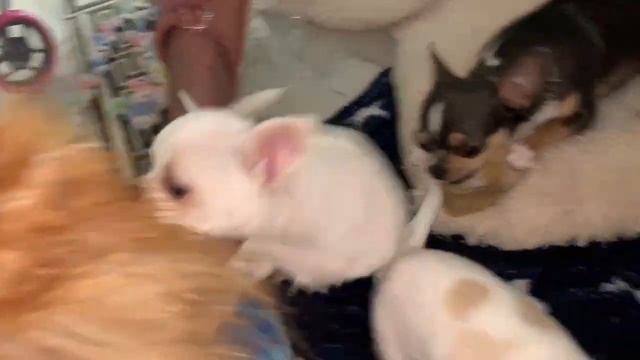 Всем доброго вечера и прекрасных снов. смотреть онлайн