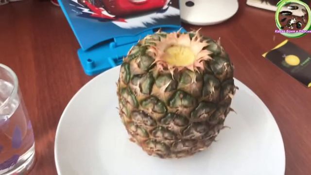 Садим фрукты !! Посадка ананаса часть 1 смотреть онлайн