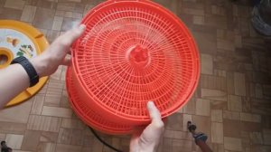 Сушилка для овощей и фруктов Суховей