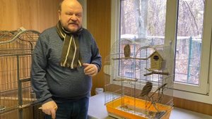 Видеолекции о птицах: Сплюшки