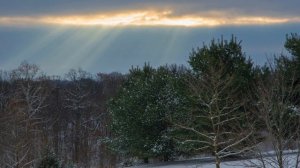 Melancholic winter day | calm instrumental music playlist