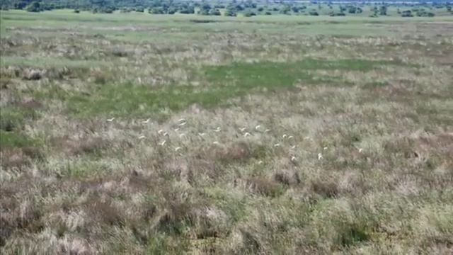 Katanga's - Democratic Republic of Congo Cityscapes смотреть онлайн