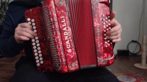 "Остров невезения "Brilliantovaya Ruka" - song from russian movie на гармони.