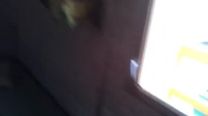 02. Саратов строительство под ключ - Садовый дом каркасный Огородник 3,6х3,8м