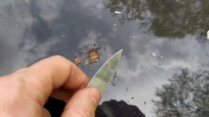 Удаление рыжиков с капота!