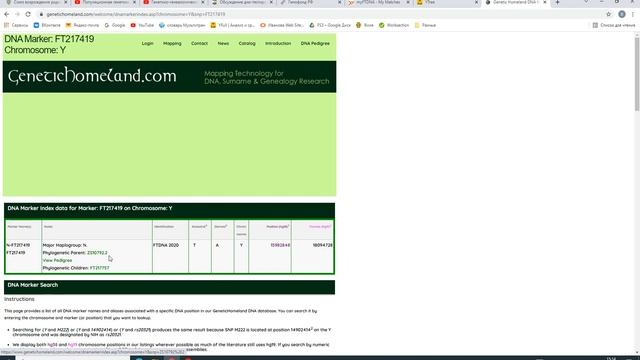 Продолжение разбора Y днк теста смотреть онлайн