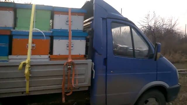 Увозим в омшаник 21.11.17г. смотреть онлайн