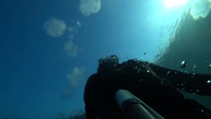 ПОДВОДНАЯ ОХОТА В ИРКУТСКЕ. Ангара. Федерация Подводной Охоты и Фридайвинга Иркутской Области