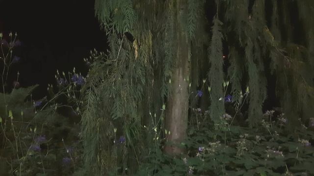 Гарри Поттер и тайная комната. Глава 1 смотреть онлайн