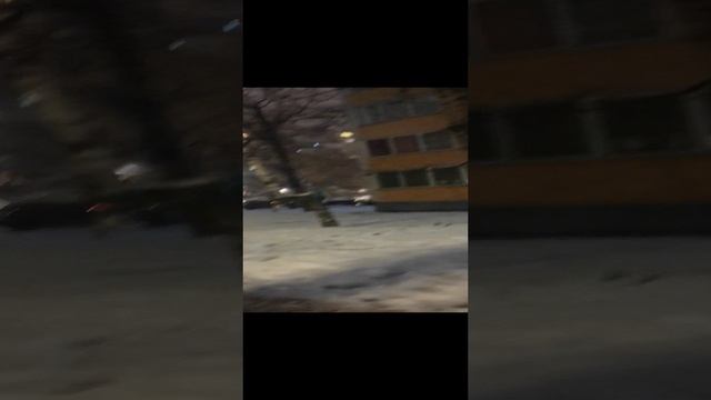 Москва 22.11.2022 г Прогулка