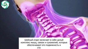 PROАтлант 1 часть