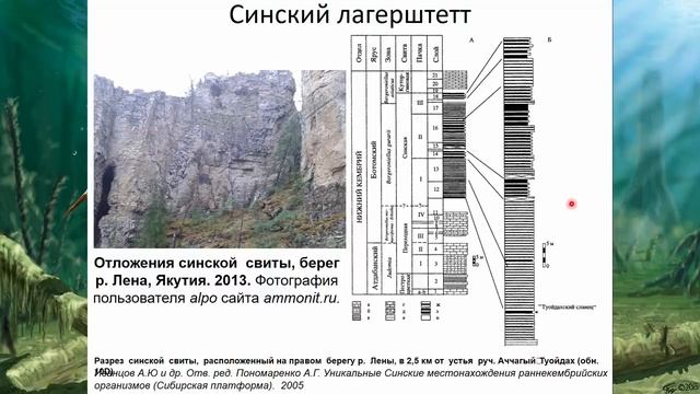 Кембрийские горы на карте. Свиты кембрийской системы. Кембрийский период материки. Высота деревьев кембрийской эпохи.