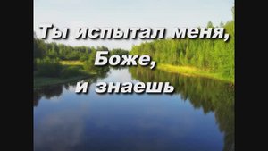 ТЫ ИСПЫТАЛ МЕНЯ, БОЖЕ, И ЗНАЕШЬ. НА СТ. ИЕРОМОНАХА ВАСИЛИЯ ( РОСЛЯКОВА)