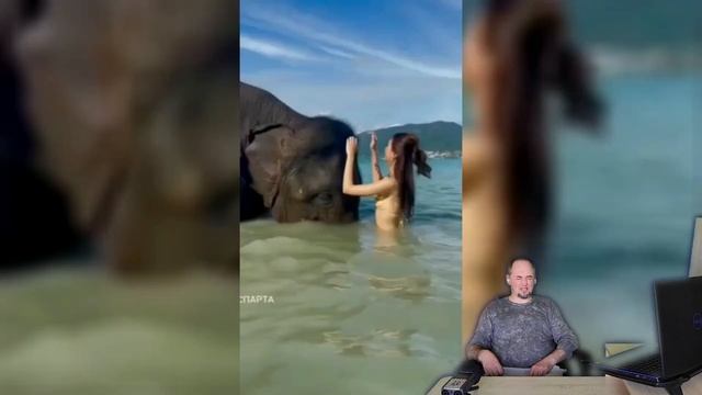 Реакция на кавер "Я хочу слона" смотреть онлайн