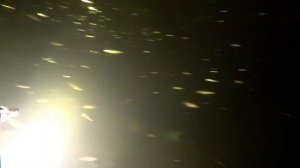 ПОДВОДНАЯ ОХОТА В РЯЗАНСКОЙ ОБЛАСТИ 07.08.2020 #подводная охота 2020