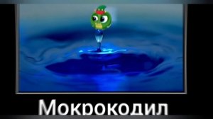 Бубу + ШИЗА =