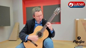 Классическая гитара Prodipe Recital 300 JMFRECITAL300