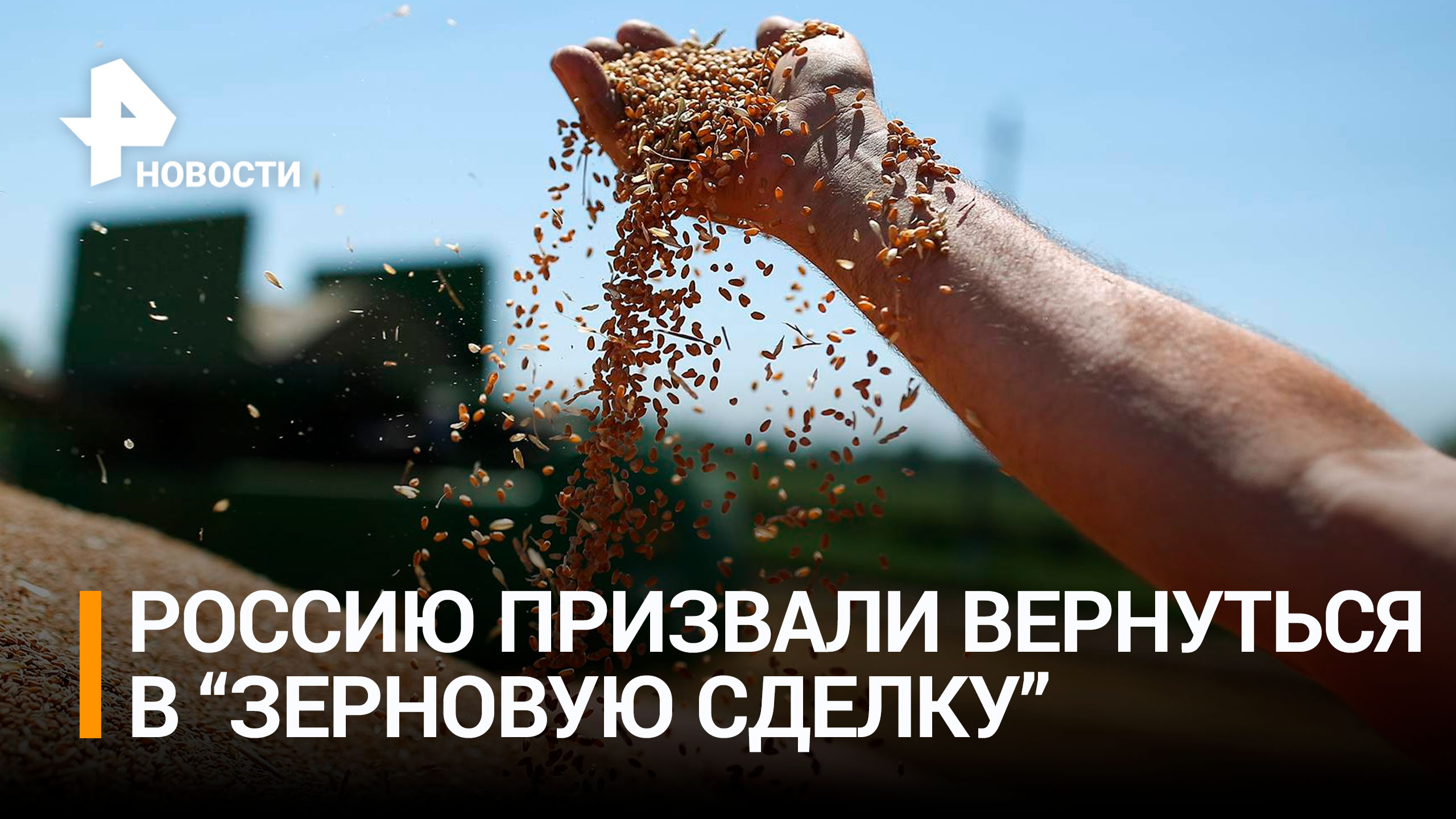 Страны G7 попросили Россию вернуться в зерновую сделку / РЕН Новости