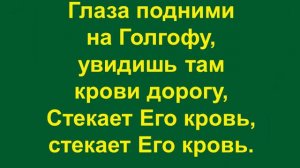 Он в жизнь пришёл мою, в разбитую судьбу