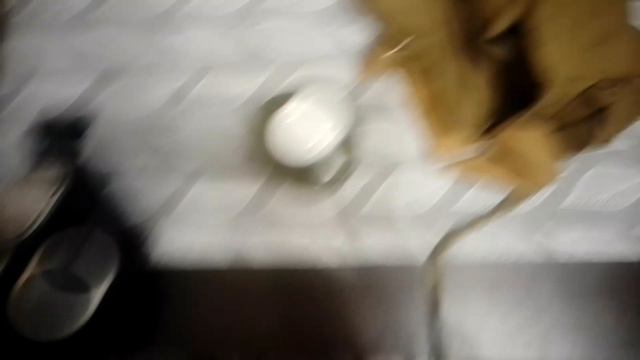 Обзор ГП-7 смотреть онлайн