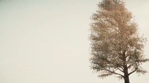 Планета без воды ....