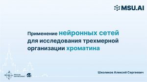 Применение нейронных сетей для исследования трехмерной организации хроматина