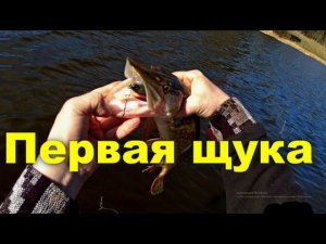 Ловля весенней щуки на меляках