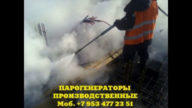 Парогенератор для пропарочной камеры