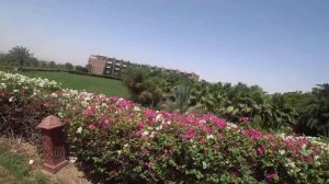 ЕГИПЕТ / Отель Fort Arabesque Resort Spa and Villas 5 / пляж / заход в море / Макади Бей