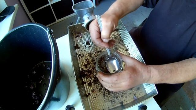 Сирень на Лекарство. Сбор. Ферментация. Сушка. Чай смотреть онлайн