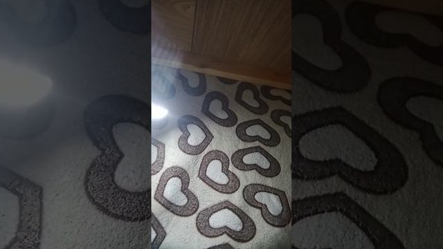 #норка моя норка смотреть онлайн