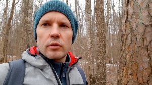 Медведь напал на человека под  Петербургом! Как избежать нападения медведя весной?