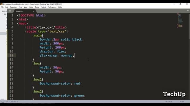 CSS Flexbox (flex-wrap, flex-flow) TechUp