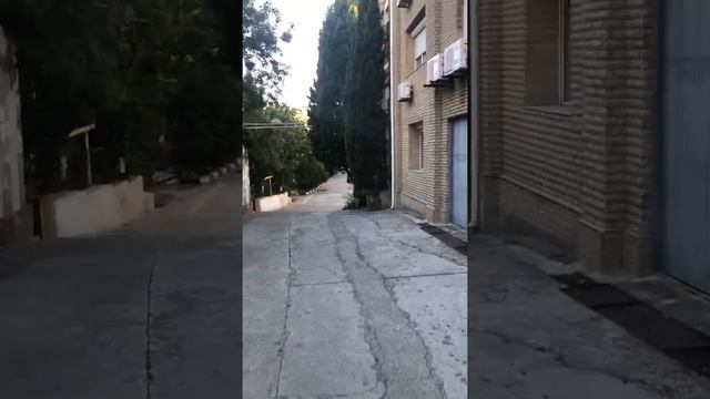 Воняет!!!Эллинг? Утес. Утро!