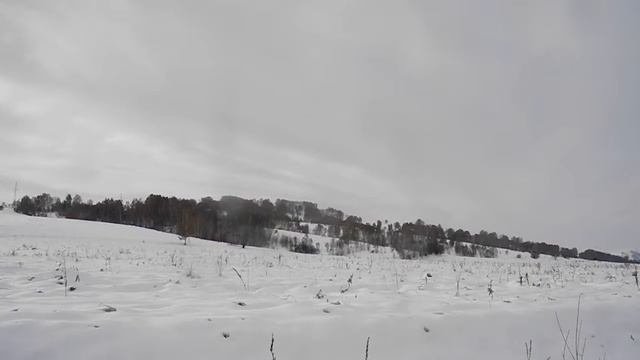 Вены вздулись
