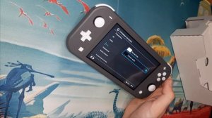 Почему купил Nintendo Switch lite?